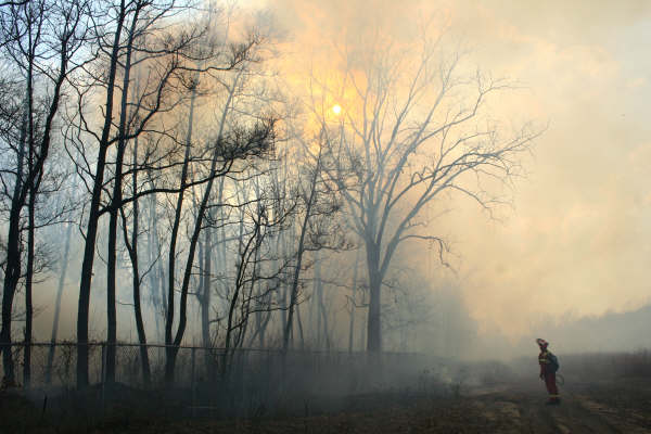 prescribed burn at Black Oak Heritage Park, photo by Shane Butnari