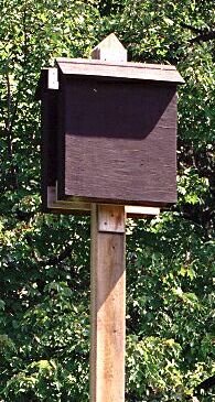  photo of bat box, Ojibway Park