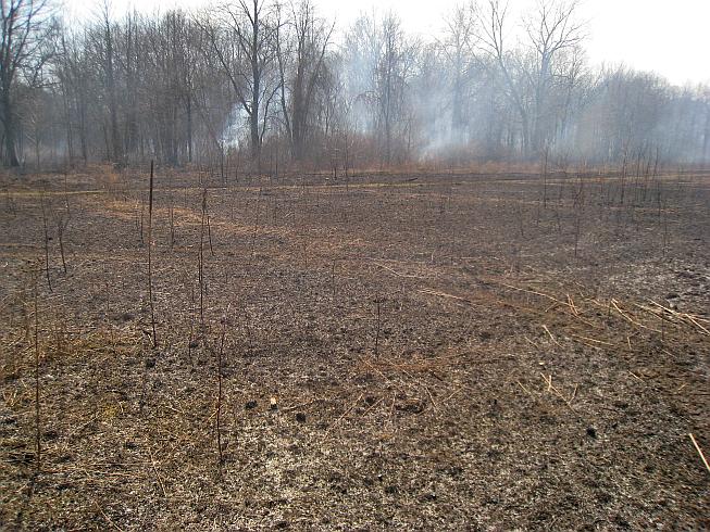 image of prescribed burn of 34 acres on April 1, 2010