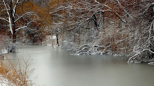 view of pond near nature centre, image by Gerry Pollard