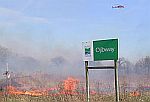 photo of prescribed burn at Ojibway Prairie Provincial Nature Reserve